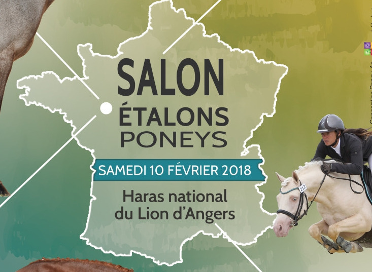 SALON DES ETALONS DES PONEYS LION D ANGERS